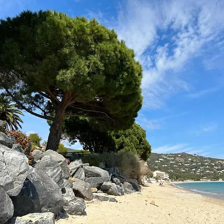 Apartment Joli Avec Terrasse Le Lavandou